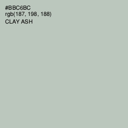 #BBC6BC - Clay Ash Color Image